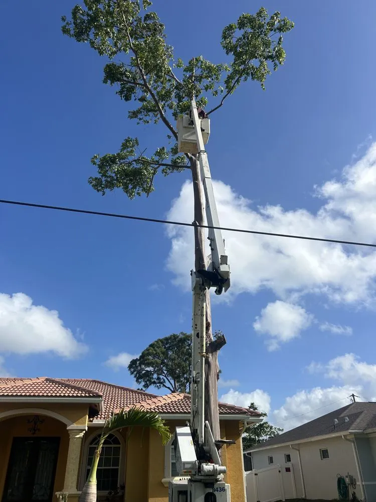 Trusted yard cleanup service experts serving Fort Pierce, FL - Stanley Pope Services Landscape