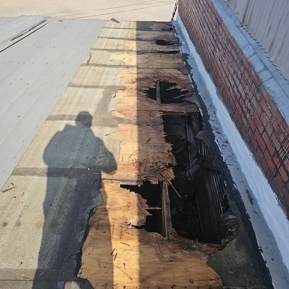 Trusted lawn mowing service in Parkersburg, WV by Stanley services