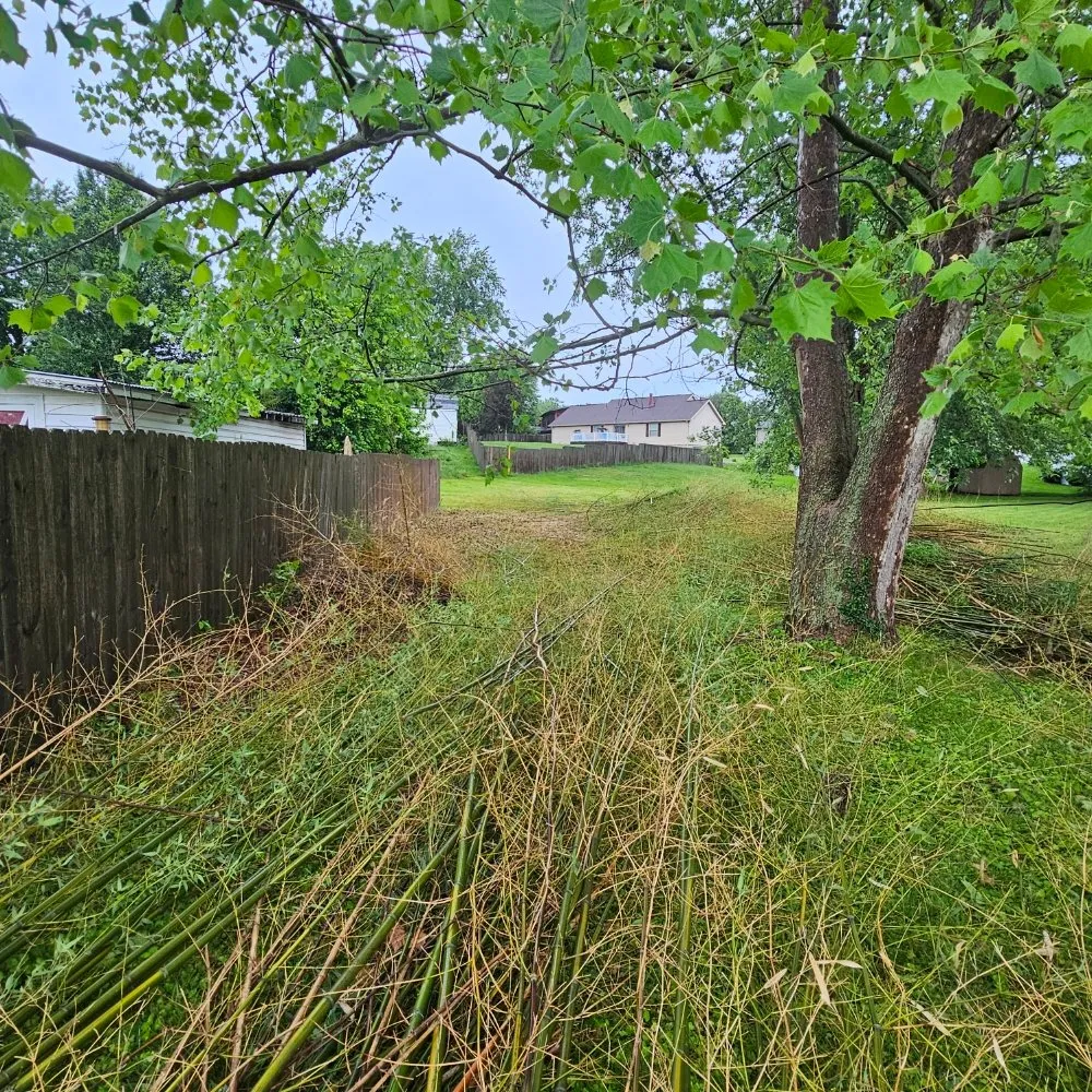 Trusted lawn mowing service with custom design in Parkersburg, WV by Stanley services