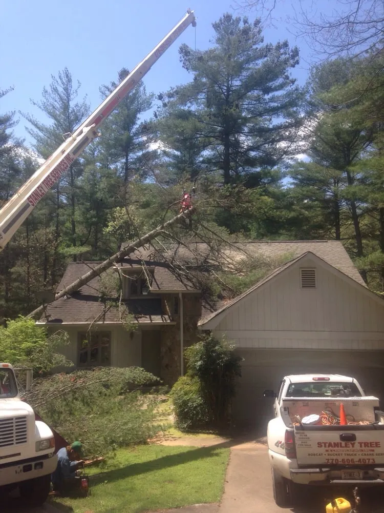 Trusted outdoor landscaping experts serving Cartersville, GA - Stanley Tree and Landscaping