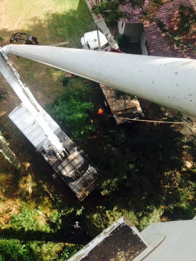 Top-rated landscaping services for residential properties in Cartersville, GA by Stanley Tree and Landscaping