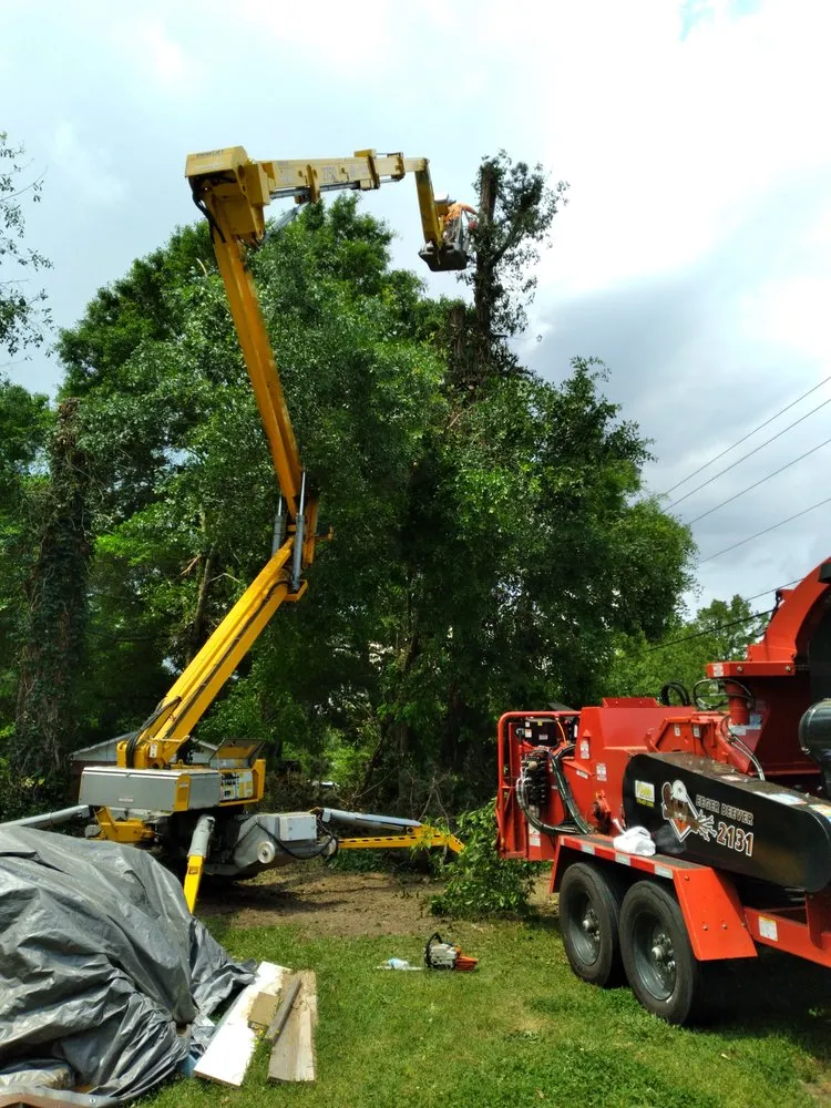 Professional residential landscaping in Cartersville, GA - Stanley Tree and Landscaping