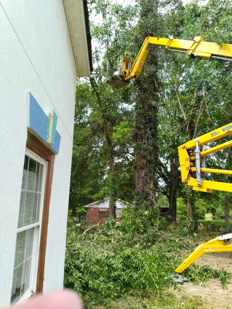 Custom residential landscaping for homes in Cartersville, GA by Stanley Tree and Landscaping