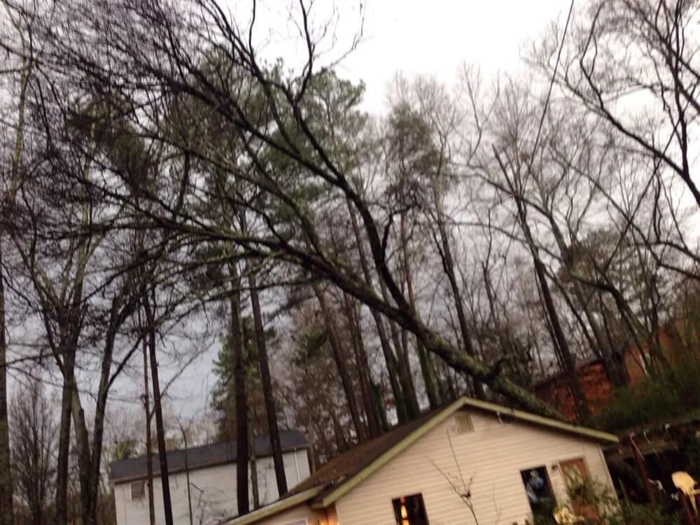 Custom landscape design in Cartersville, GA - Stanley Tree and Landscaping