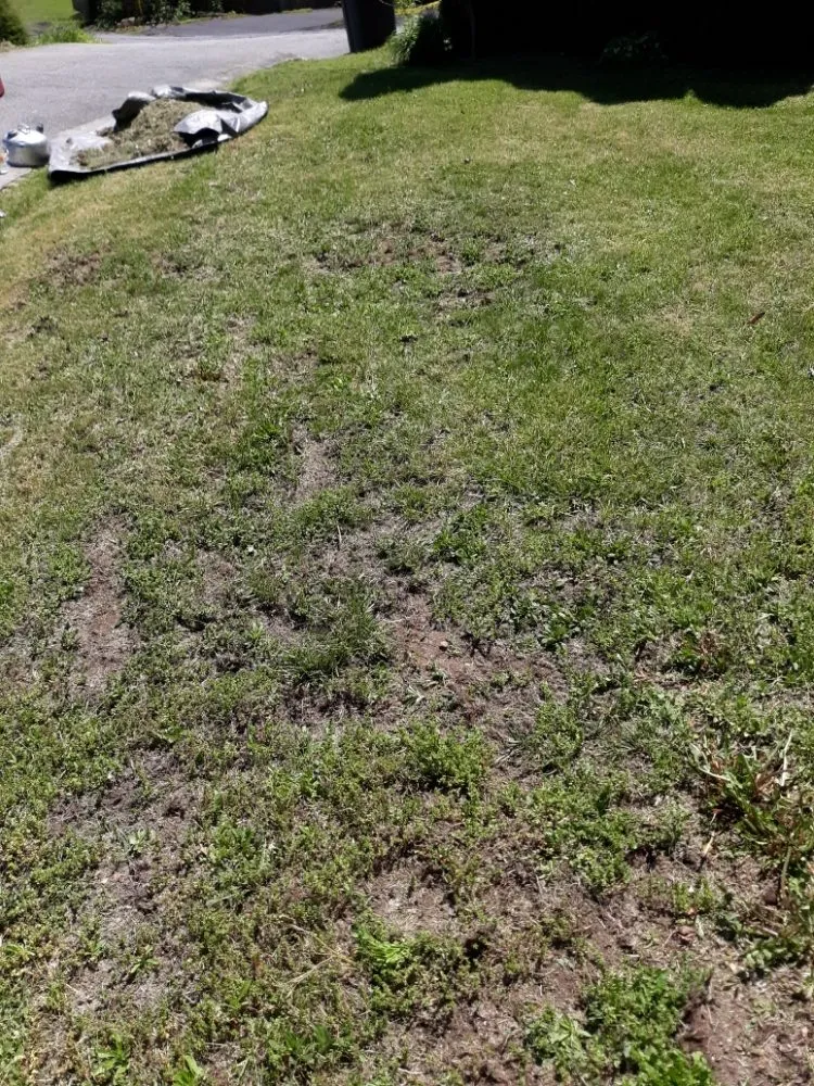 Expert landscape design in Princeton, WV - Stanley's High Efficiency Landscaping