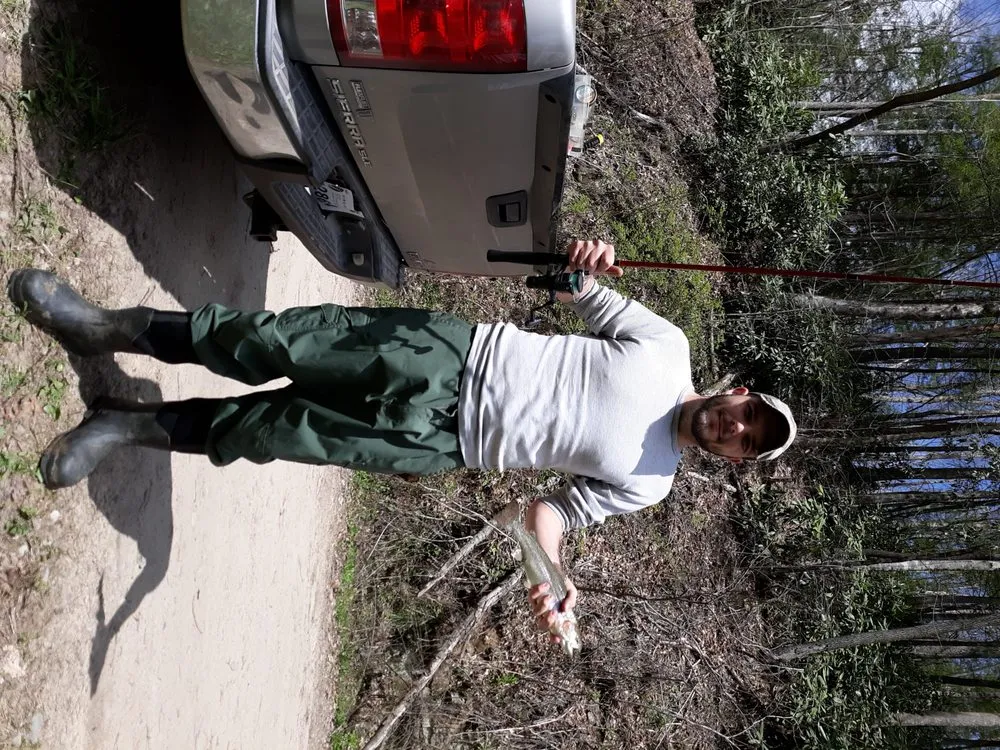 Top-rated yard maintenance for homes across Princeton, WV - Stanley's High Efficiency Landscaping