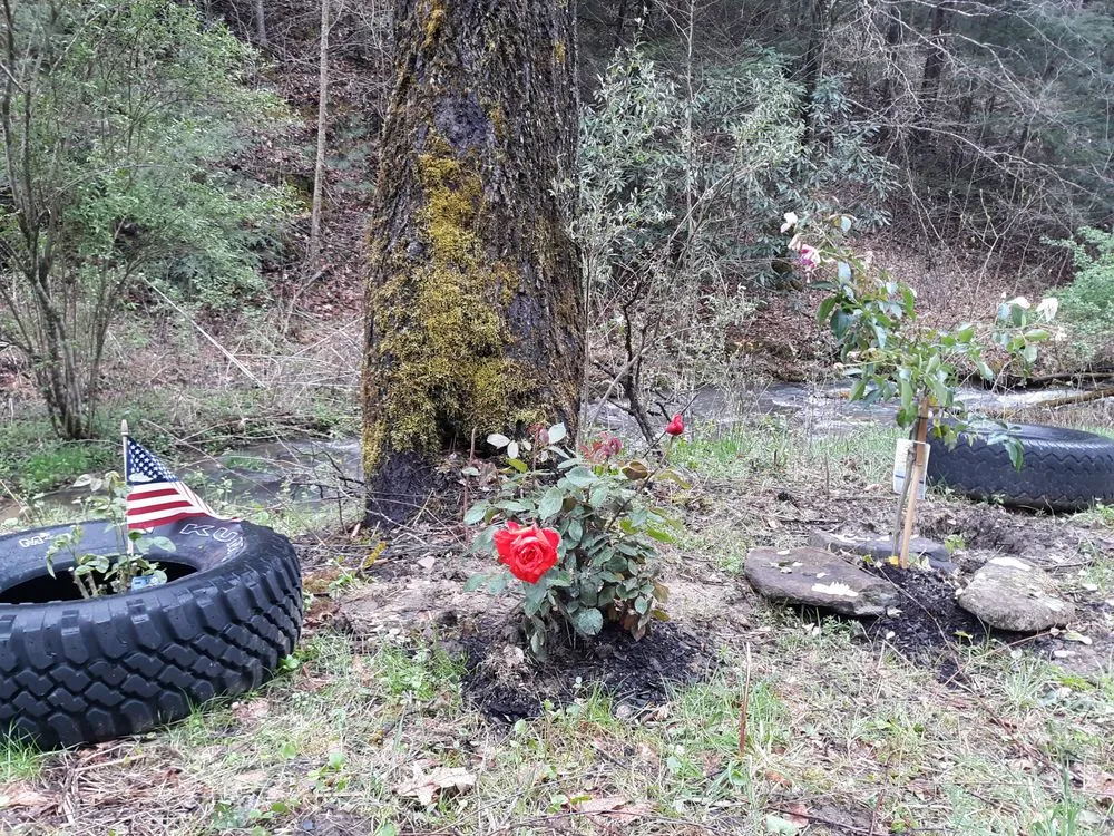 Professional landscaping services experts serving Princeton, WV - Stanley's High Efficiency Landscaping