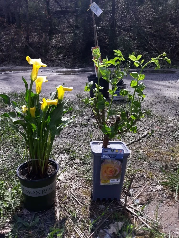 Affordable garden landscaping experts serving Princeton, WV - Stanley's High Efficiency Landscaping