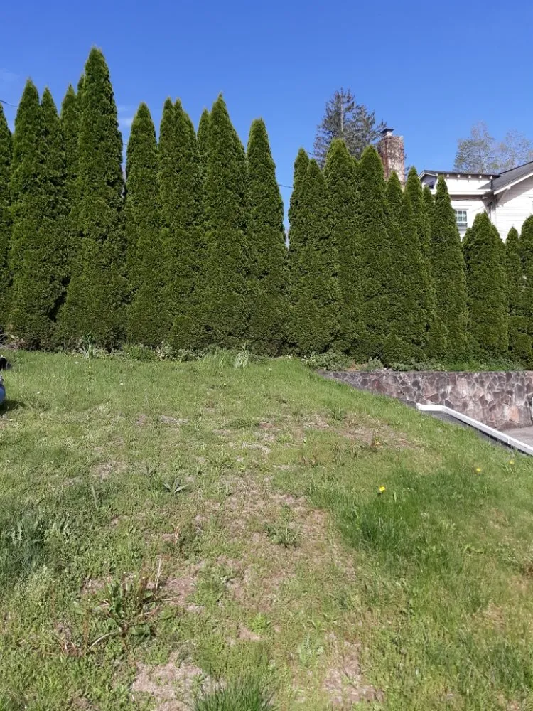 Trusted garden landscaping in Princeton, WV - Stanley's High Efficiency Landscaping