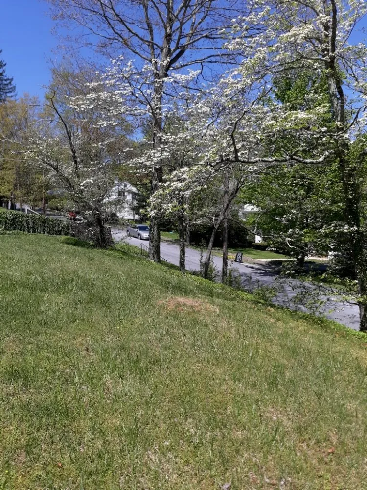 Local outdoor landscaping for year-round maintenance in Princeton, WV by Stanley's High Efficiency Landscaping