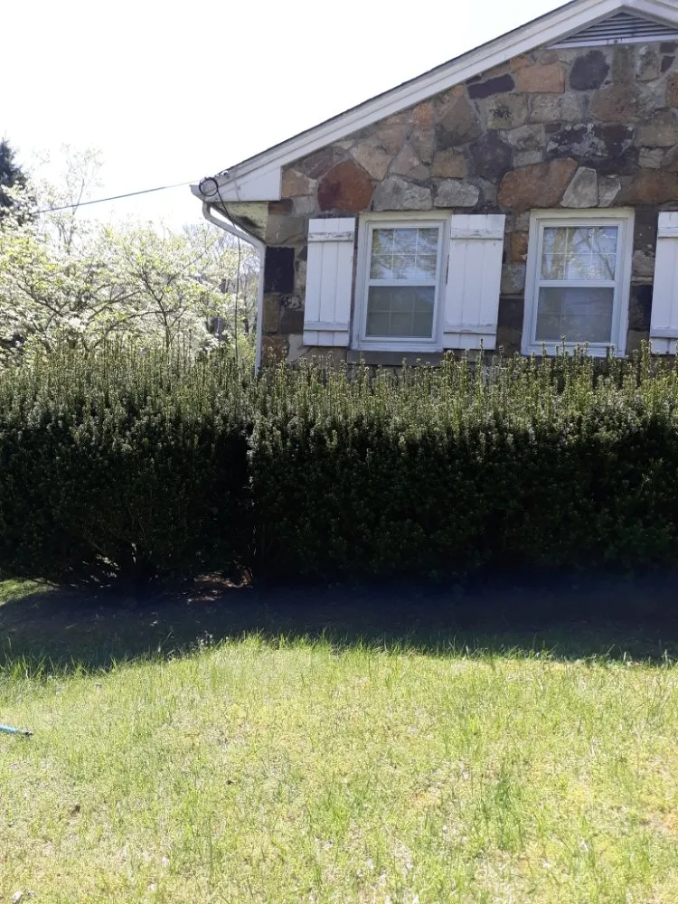 Expert yard cleanup service experts serving Princeton, WV - Stanley's High Efficiency Landscaping