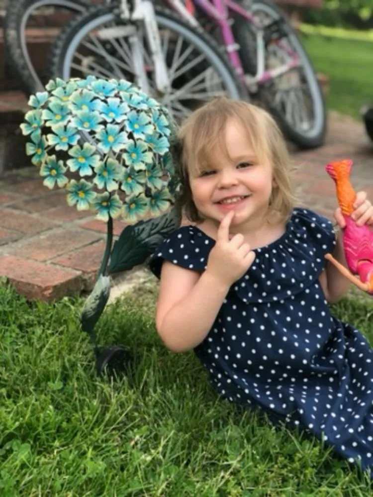 Expert yard maintenance in Princeton, WV - Stanley's High Efficiency Landscaping