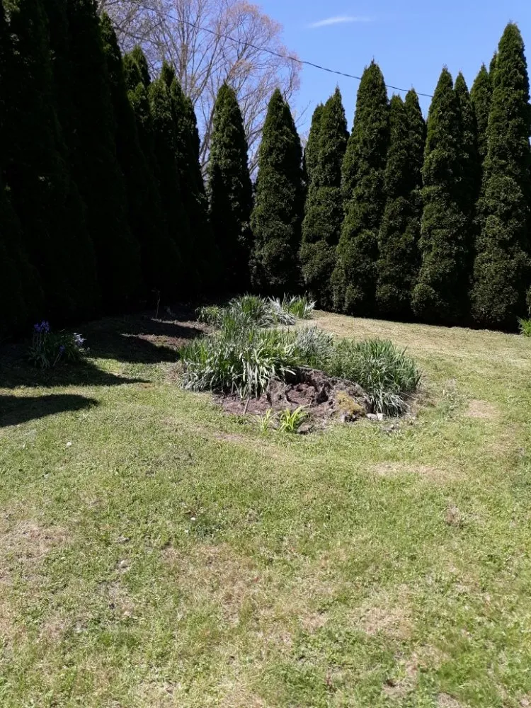 Local lawn care service in Princeton, WV - Stanley's High Efficiency Landscaping