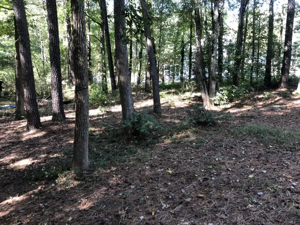 Reliable outdoor landscaping for homes in Ruther Glen, VA by Stanleys Lawn and Landscaping Junk Removal