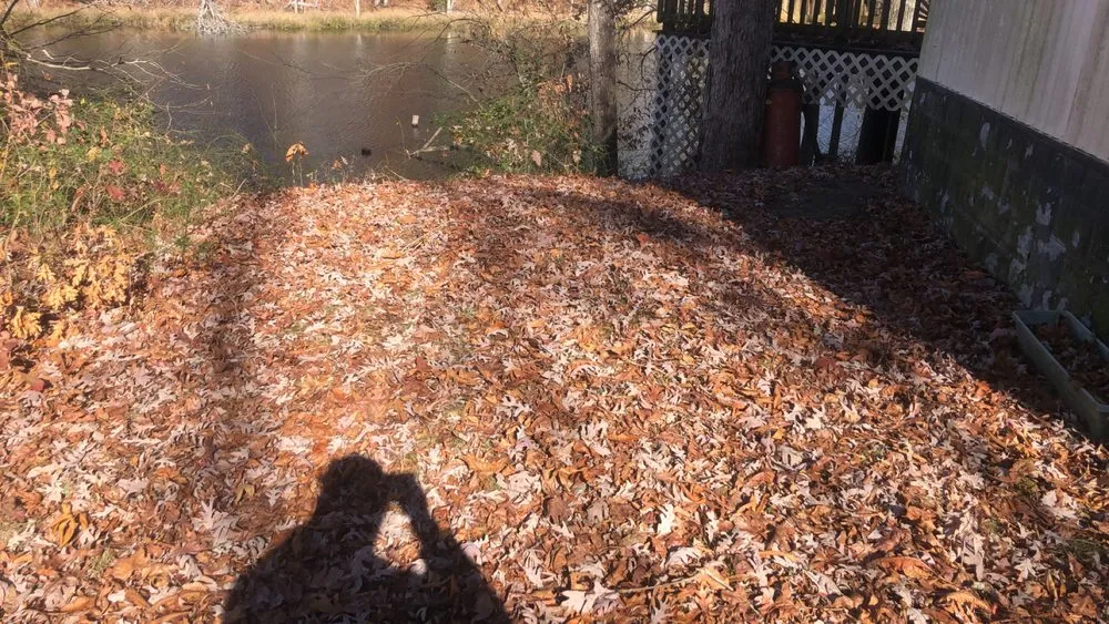 Trusted residential landscaping in Ruther Glen, VA - Stanleys Lawn and Landscaping Junk Removal