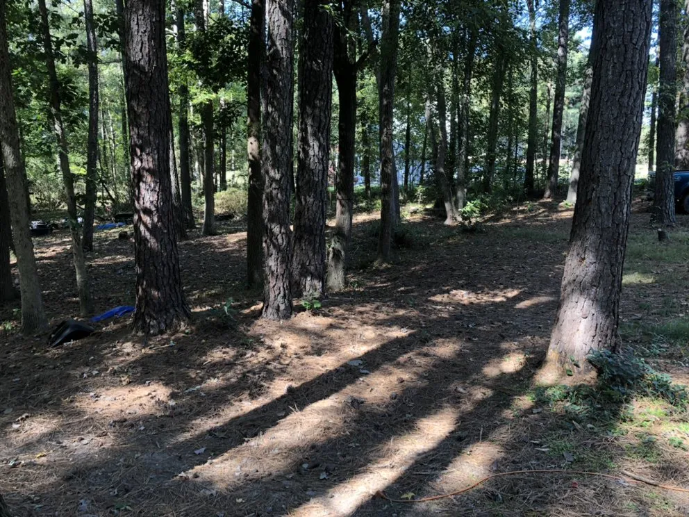 Reliable residential landscaping near you across Ruther Glen, VA - Stanleys Lawn and Landscaping Junk Removal