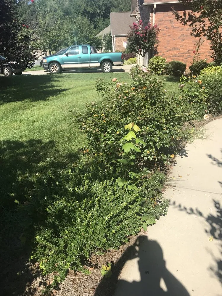 Trusted lawn mowing service for beautiful yards across Thomasville, NC - Stanley's Simply Green Lawn Maintenance