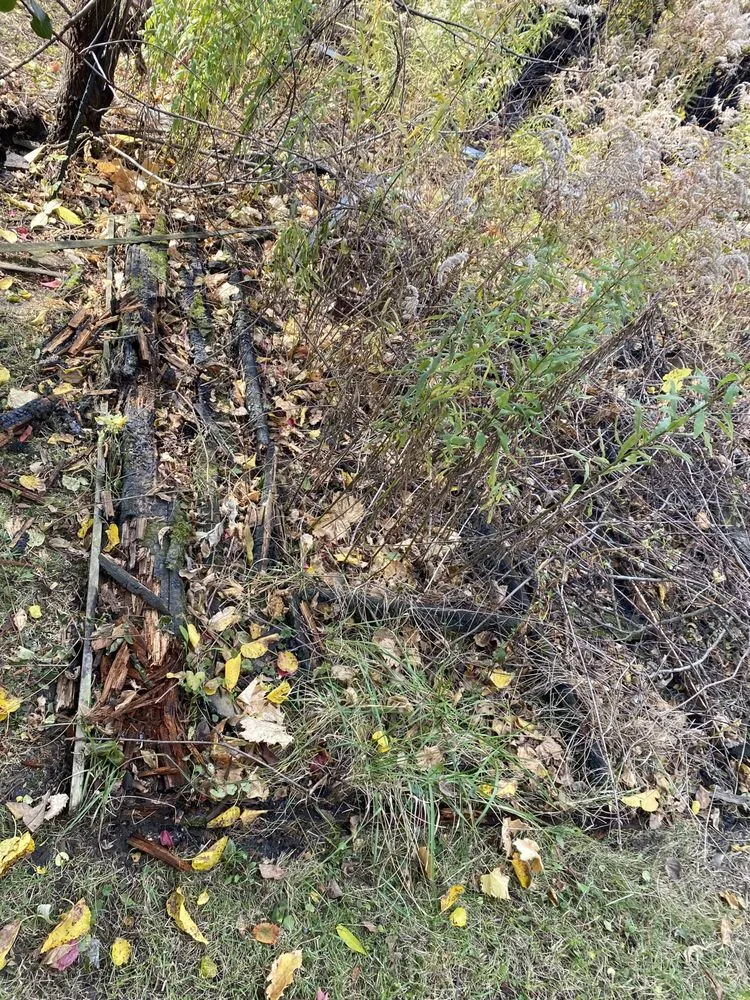 Local garden landscaping for residential properties across Dearborn Heights, MI - Stan’s Cuts & More