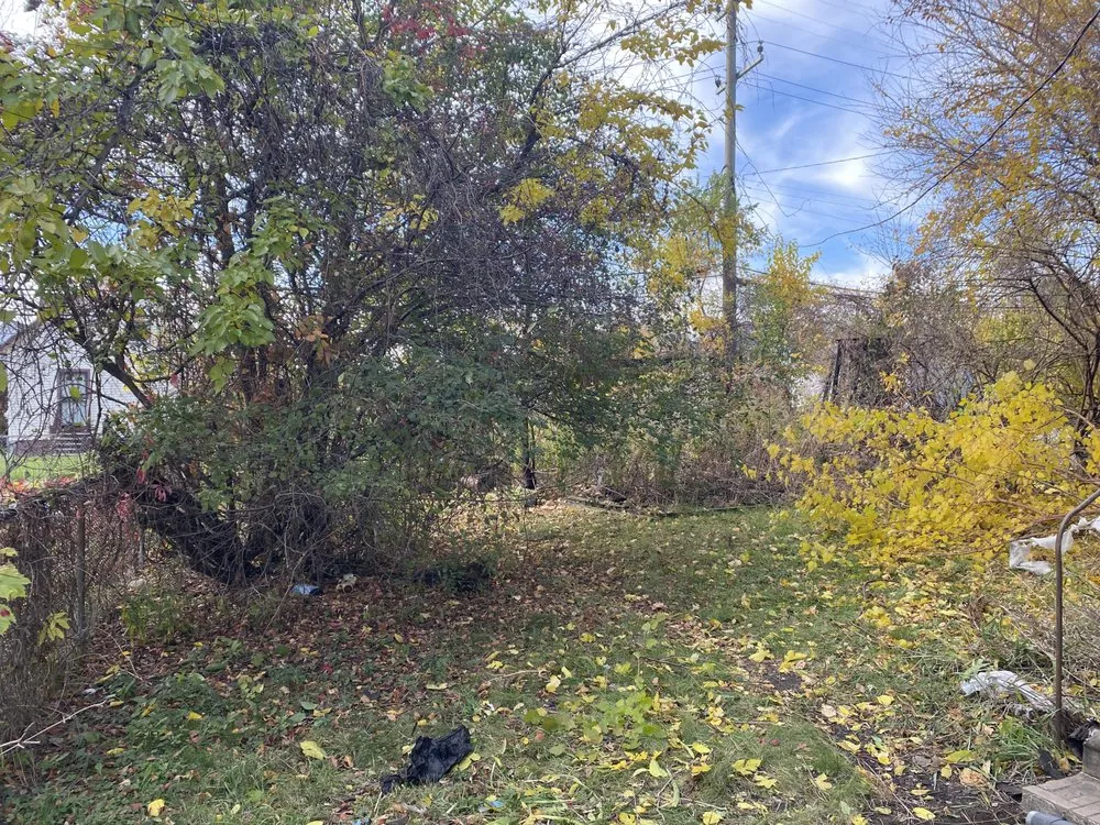 Local yard maintenance with custom design in Dearborn Heights, MI by Stan’s Cuts & More