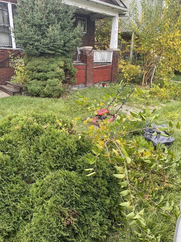 Reliable landscape installation with custom design in Dearborn Heights, MI by Stan’s Cuts & More