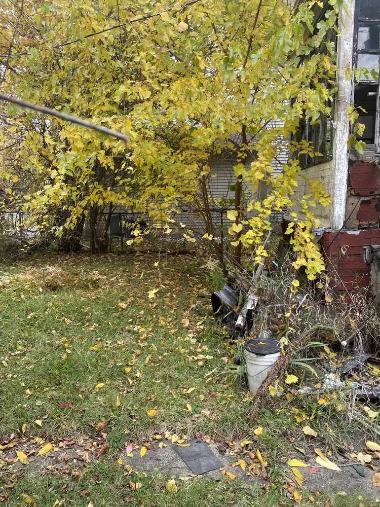 Professional yard maintenance for beautiful yards in Dearborn Heights, MI by Stan’s Cuts & More