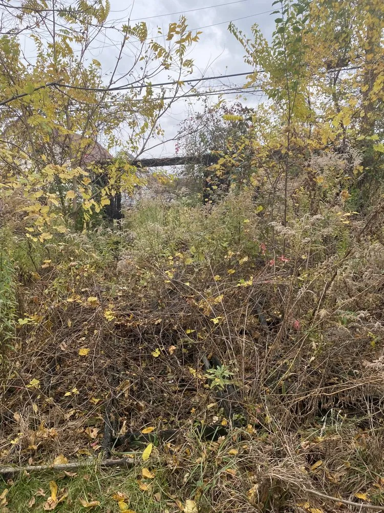 Expert landscape installation in Dearborn Heights, MI - Stan’s Cuts & More