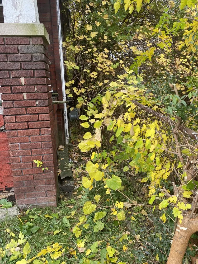 Top-rated garden landscaping experts serving Dearborn Heights, MI - Stan’s Cuts & More