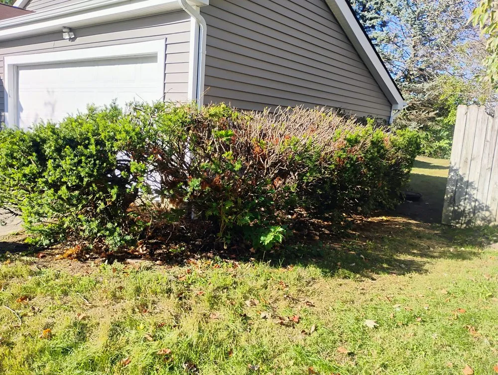 Reliable lawn mowing service in Chillicothe, OH by Stan's Landscaping , Snow Removal & More