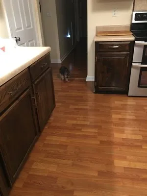 Stan's Plumbing And home Repairs Logo