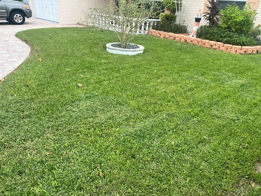 Top-rated outdoor landscaping in Boca Raton, FL - StanThe Handyman