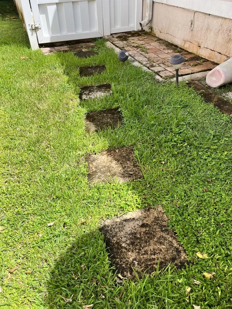 Reliable lawn care service experts serving Boca Raton, FL - StanThe Handyman