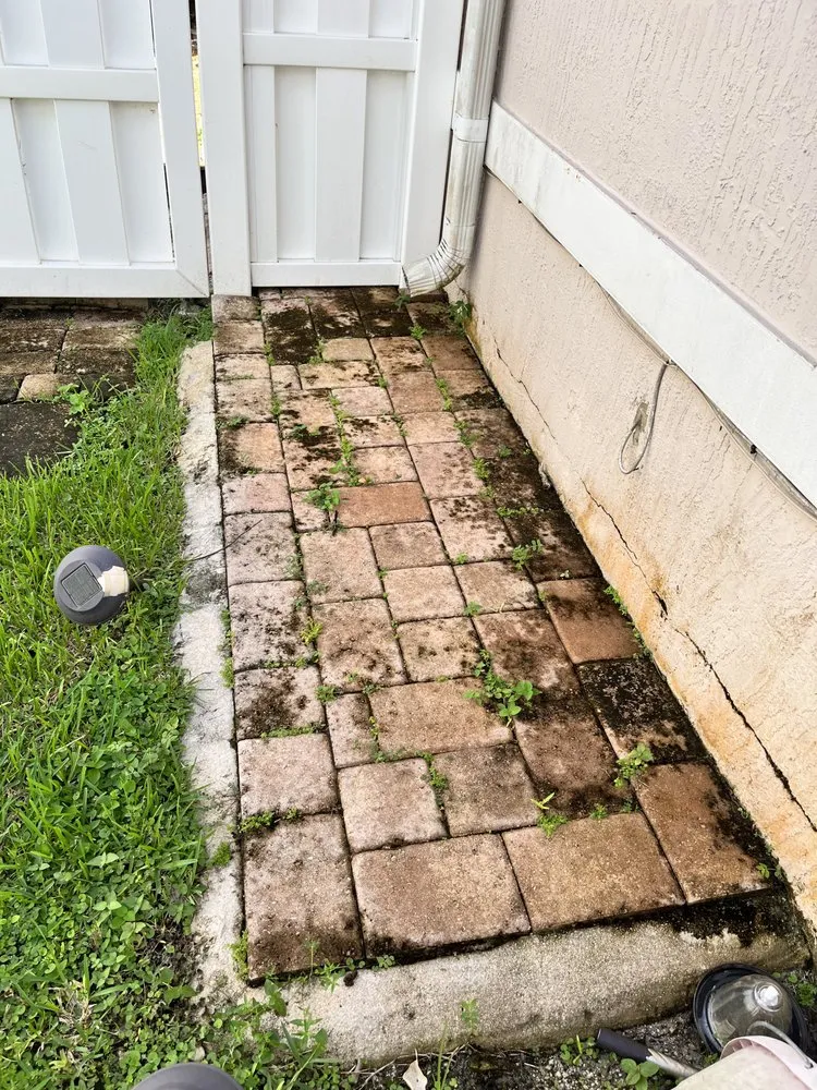 Reliable yard cleanup service in Boca Raton, FL by StanThe Handyman