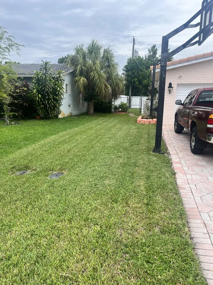 Reliable lawn care service in Boca Raton, FL - StanThe Handyman