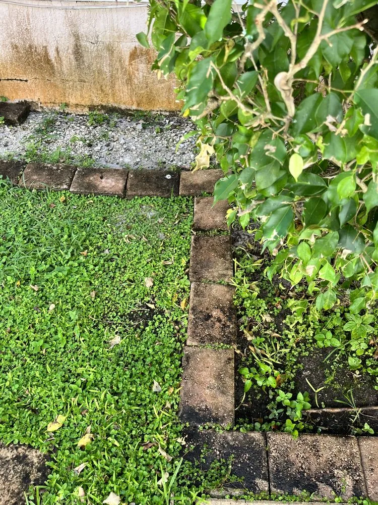 Professional outdoor landscaping for beautiful yards across Boca Raton, FL - StanThe Handyman