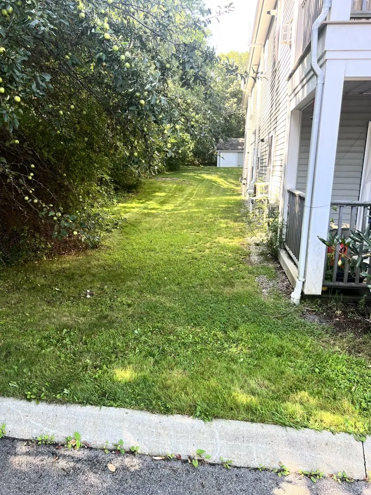 Trusted yard maintenance experts serving Naples, ME - Stanton & Sons Property Maintenance