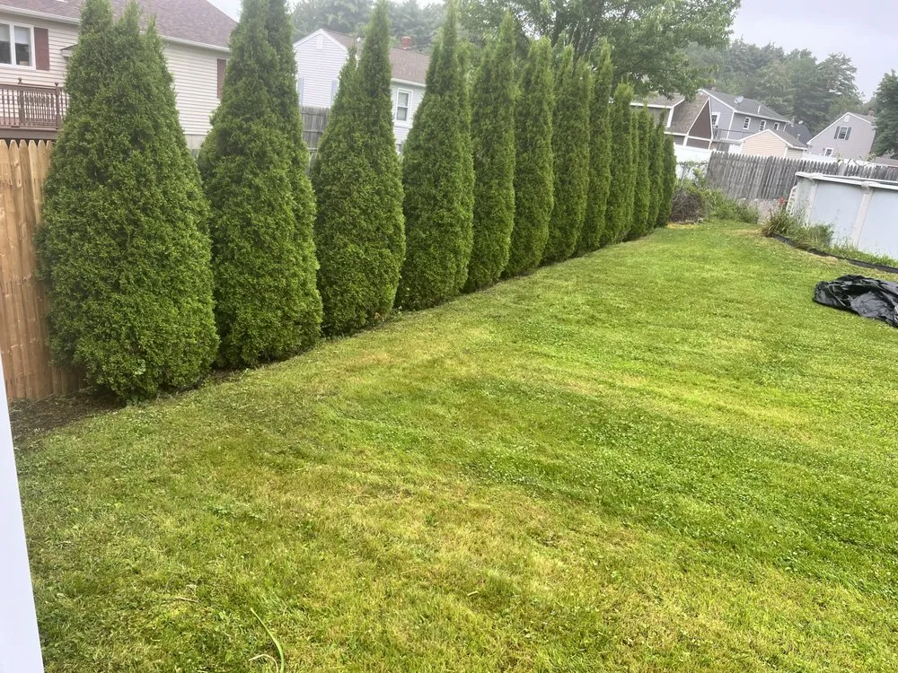 Reliable yard maintenance in Naples, ME by Stanton & Sons Property Maintenance