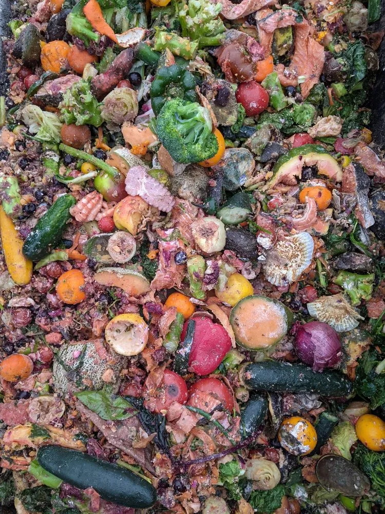 Professional yard cleanup service for outdoor upgrades in Great Barrington, MA by Stanton Home Compost