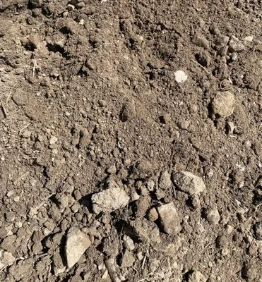 Stanton Home Compost