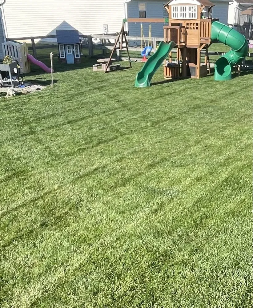 Professional yard maintenance for beautiful yards across Cincinnati, OH - Stanton Lawn Care