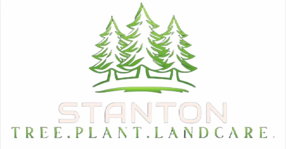 Expert outdoor landscaping for outdoor upgrades across Raynham, MA - Stanton