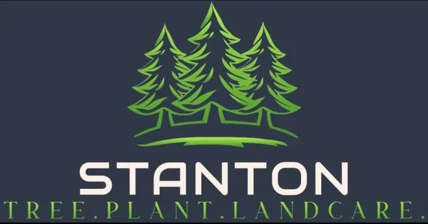 Stanton Logo