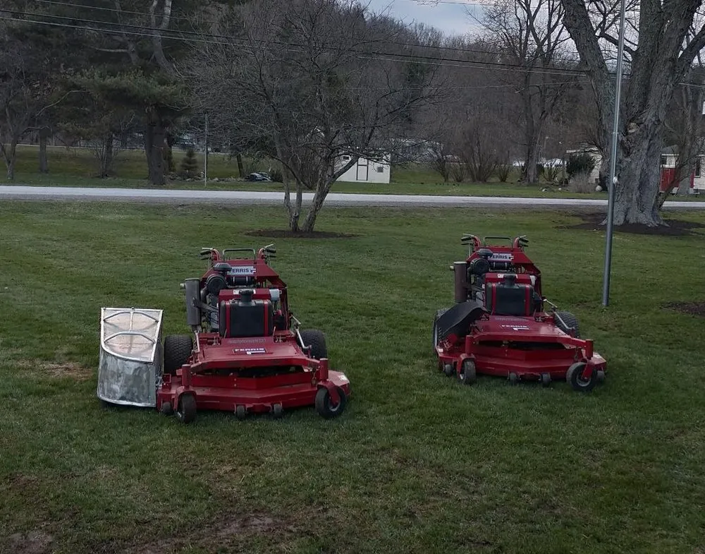 Custom yard cleanup service experts serving Willseyville, NY - Stantons Property Preservation
