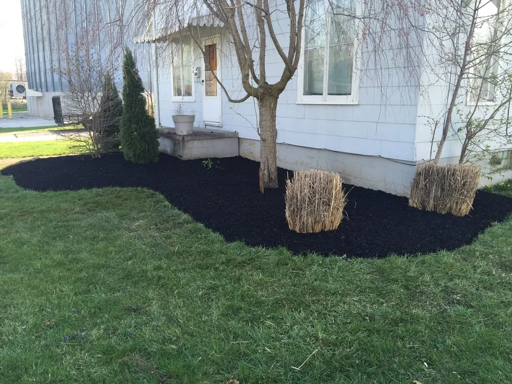 Reliable yard cleanup service experts serving Mark Center, OH - Stantz Landscaping & Design LLC