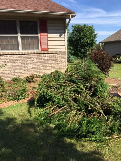 Trusted yard cleanup service with custom design across Mark Center, OH - Stantz Landscaping & Design LLC