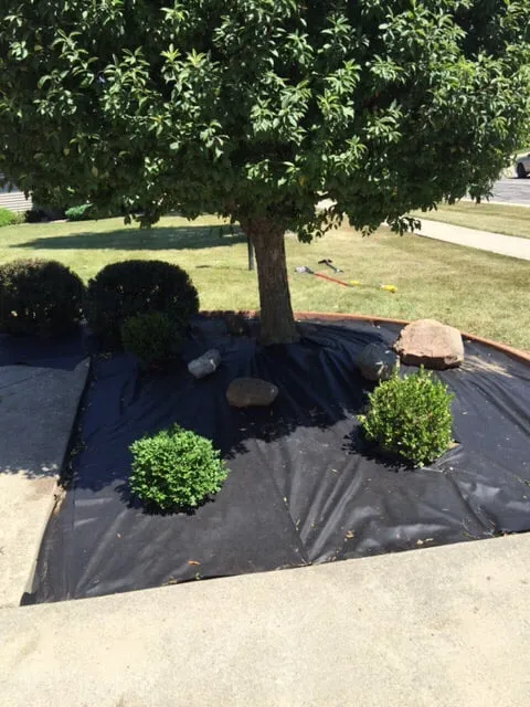 Affordable lawn care service for beautiful yards in Mark Center, OH by Stantz Landscaping & Design LLC