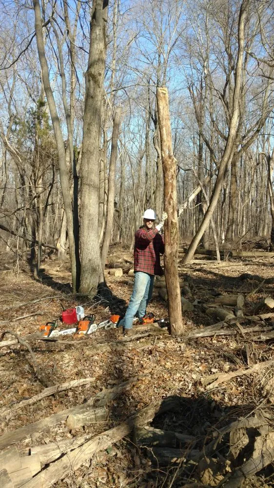 Expert landscape design experts serving Flemington, NJ - Stapert Tree and Forestry Service