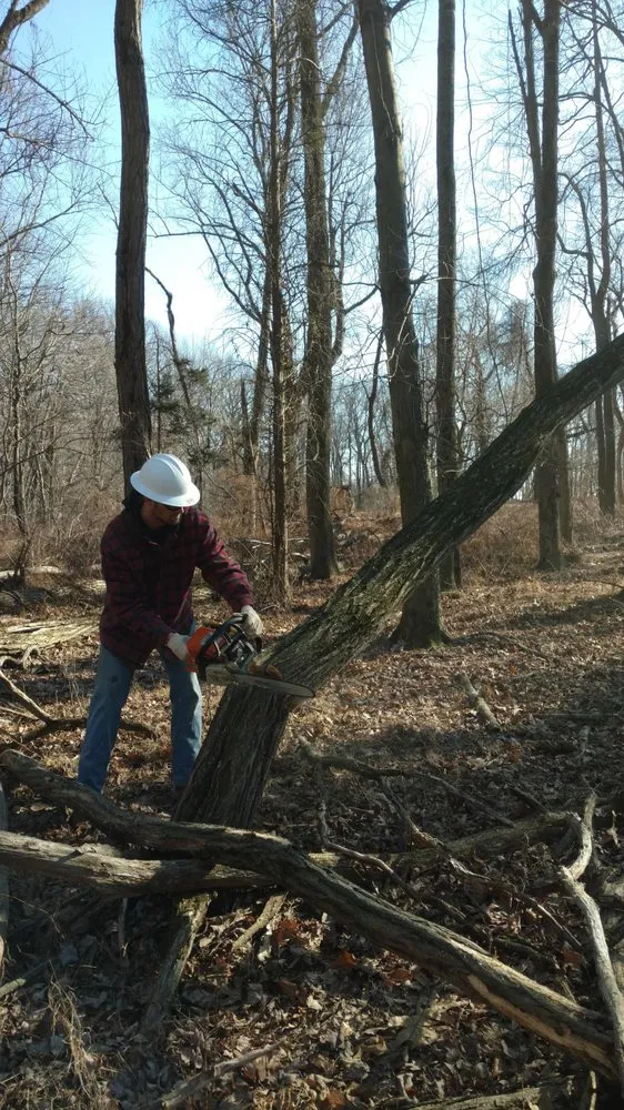 Trusted lawn care service for beautiful yards across Flemington, NJ - Stapert Tree and Forestry Service