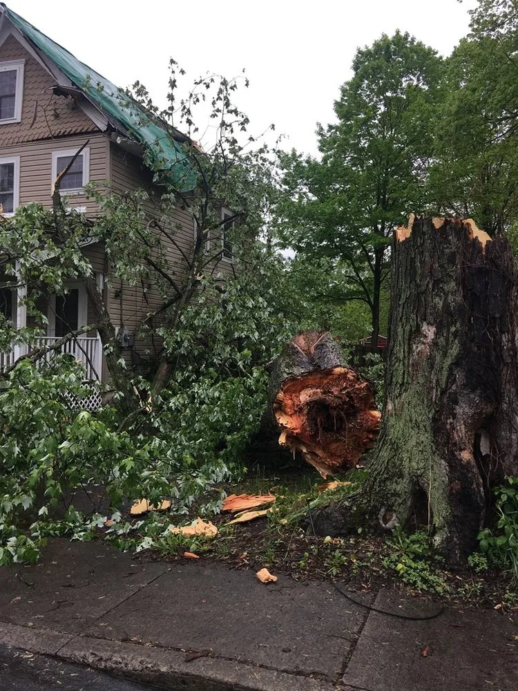 Reliable landscaping services for homes across Brodheadsville, PA - Staples Construction