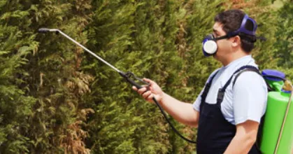 Top-rated yard maintenance in East Northport, NY by Stapleton Tree & Landscape Svc