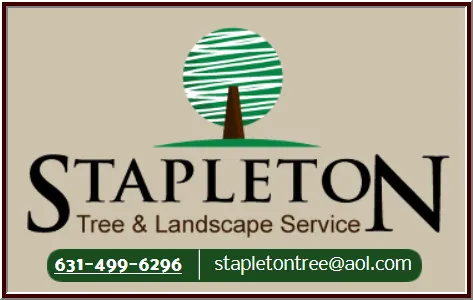 Trusted yard cleanup service near you in East Northport, NY by Stapleton Tree & Landscape Svc